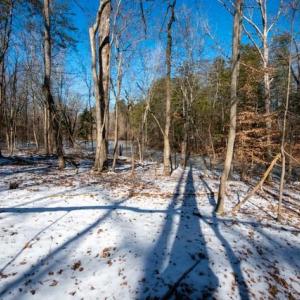Photo #14 of 230, 240 Dilworth, High Point, NC 13.0 acres