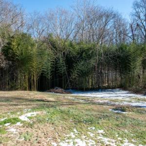 Photo #29 of 230, 240 Dilworth, High Point, NC 13.0 acres