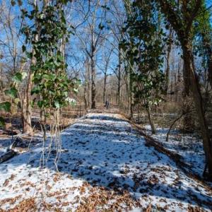 Photo #8 of 230, 240 Dilworth, High Point, NC 13.0 acres