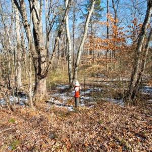 Photo #25 of 230, 240 Dilworth, High Point, NC 13.0 acres