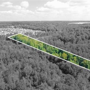 Photo #2 of 8774 Bame, Colfax, NC 5.0 acres