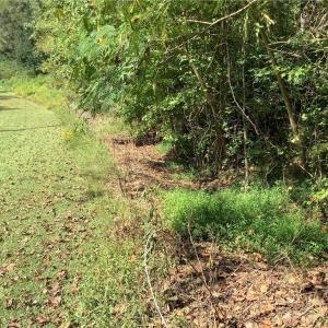 Photo #6 of 8774 Bame, Colfax, NC 5.0 acres