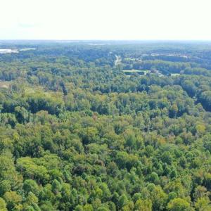 Photo #12 of 8774 Bame, Colfax, NC 5.0 acres