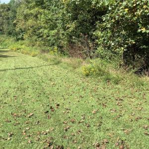Photo #3 of 8774 Bame, Colfax, NC 5.0 acres