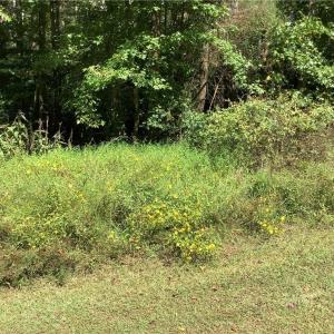 Photo #5 of 8774 Bame, Colfax, NC 5.0 acres
