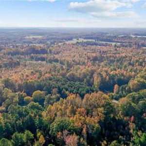 Photo #6 of 7808 NC Highway 49, Snow Camp, NC 45.1 acres