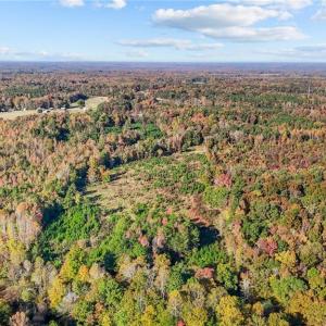 Photo #13 of 7808 NC Highway 49, Snow Camp, NC 45.1 acres