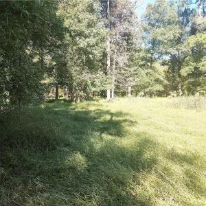 Photo #17 of 7808 NC Highway 49, Snow Camp, NC 45.1 acres