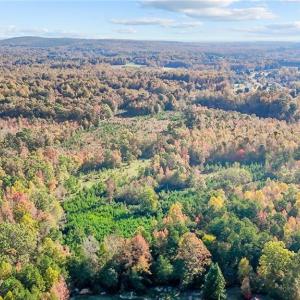 Photo #16 of 7808 NC Highway 49, Snow Camp, NC 45.1 acres