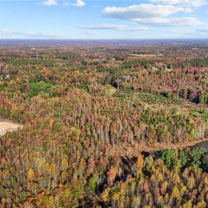 Photo #12 of 7808 NC Highway 49, Snow Camp, NC 45.1 acres
