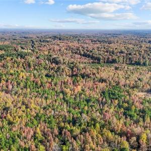 Photo #9 of 7808 NC Highway 49, Snow Camp, NC 45.1 acres