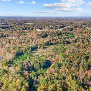 Photo #14 of 7808 NC Highway 49, Snow Camp, NC 45.1 acres