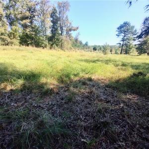 Photo #18 of 7808 NC Highway 49, Snow Camp, NC 45.1 acres
