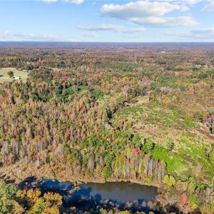 Photo #15 of 7808 NC Highway 49, Snow Camp, NC 45.1 acres