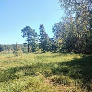 Photo #19 of 7808 NC Highway 49, Snow Camp, NC 45.1 acres