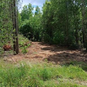 Photo #3 of Lot 2A Manning Powell Old Macon Highway, Macon, NC 17.2 acres