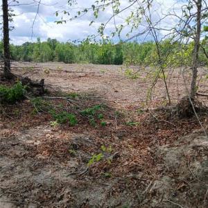 Photo #1 of Lot 2A Manning Powell Old Macon Highway, Macon, NC 17.2 acres