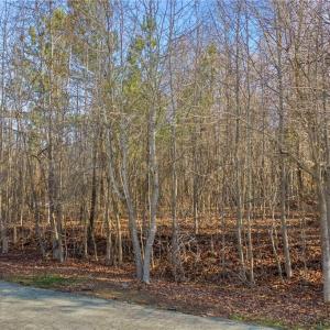 Photo #6 of 3927 Fox Grove, Greensboro, NC 0.6 acres