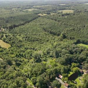 Photo #4 of Carthage, Bennett, NC 45.1 acres