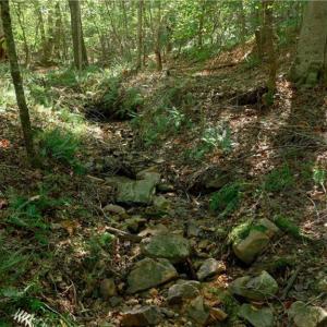 Photo #26 of 7766 Fip Newsome, Tobaccoville, NC 2.7 acres
