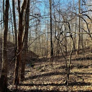 Photo #7 of 7766 Fip Newsome, Tobaccoville, NC 2.7 acres