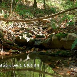 Photo #24 of 7766 Fip Newsome, Tobaccoville, NC 2.7 acres