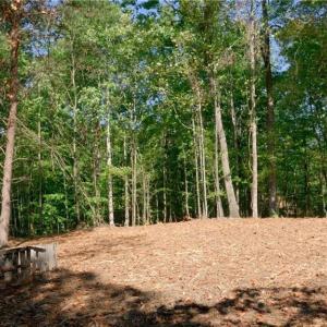 Photo #32 of 7766 Fip Newsome, Tobaccoville, NC 2.7 acres