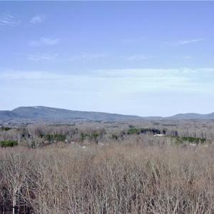 Photo #7 of King, King, NC 7.0 acres