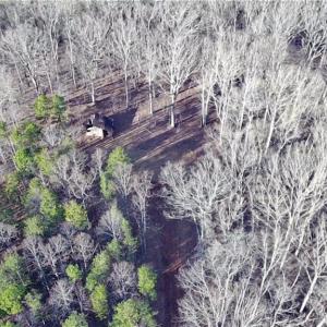 Photo #3 of King, King, NC 7.0 acres