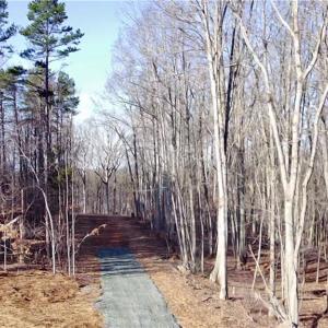 Photo #5 of King, King, NC 7.0 acres