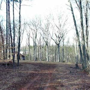 Photo #4 of King, King, NC 7.0 acres