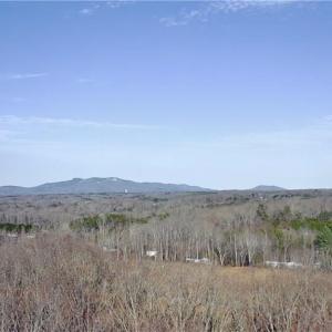 Photo #8 of King, King, NC 7.0 acres