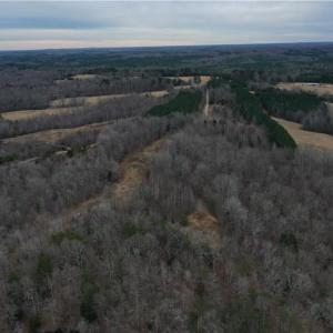 Photo #9 of Lake Farm, Yanceyville, NC 11.3 acres