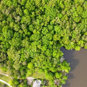 Photo #6 of LOT 18 BLACK ANGUS, Leasburg, NC 1.0 acres