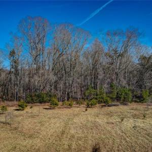 Photo #7 of 7496 Strader, Summerfield, NC 3.5 acres
