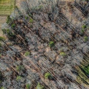 Photo #8 of 7496 Strader, Summerfield, NC 3.5 acres
