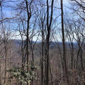 Photo #2 of TBD Rhododendron, Hillsville, VA 17.2 acres