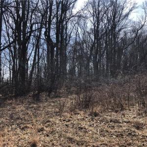 Photo #13 of TBD Rhododendron, Hillsville, VA 17.2 acres