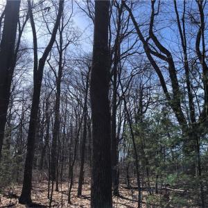 Photo #7 of TBD Rhododendron, Hillsville, VA 17.2 acres