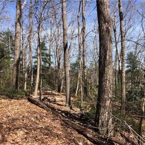 Photo #3 of TBD Rhododendron, Hillsville, VA 17.2 acres