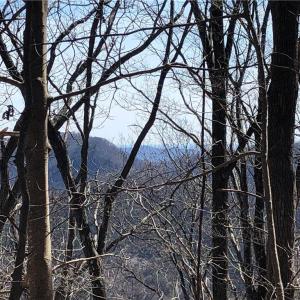 Photo #1 of TBD Rhododendron, Hillsville, VA 17.2 acres