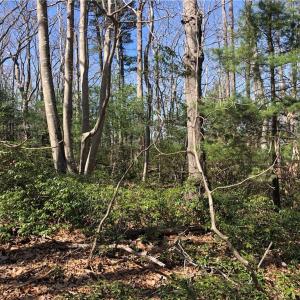 Photo #5 of TBD Rhododendron, Hillsville, VA 17.2 acres