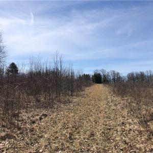 Photo #10 of TBD Rhododendron, Hillsville, VA 17.2 acres