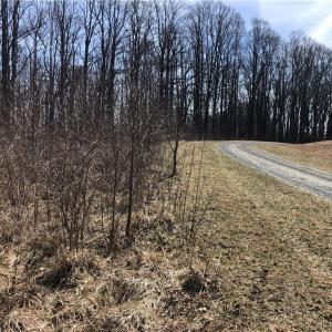 Photo #11 of TBD Rhododendron, Hillsville, VA 17.2 acres