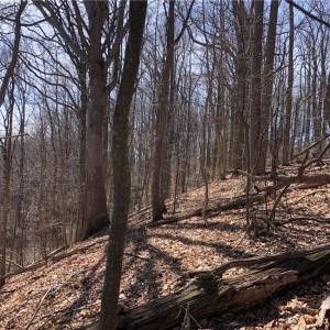 Photo #4 of TBD Rhododendron, Hillsville, VA 17.2 acres