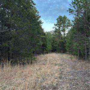 Photo #2 of Homestead, Trinity, NC 33.4 acres