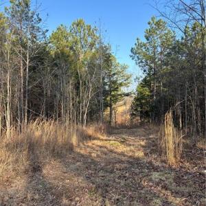 Photo #6 of Homestead, Trinity, NC 33.4 acres