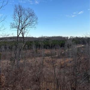 Photo #12 of Homestead, Trinity, NC 33.4 acres