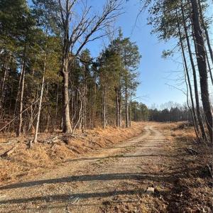 Photo #7 of Homestead, Trinity, NC 33.4 acres
