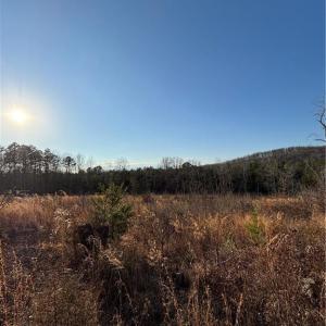 Photo #1 of Homestead, Trinity, NC 33.4 acres